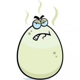That rotten egg smell could lead to a raft of healthcare therapies: study
