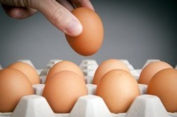 Cholesterol no longer a concern: US experts