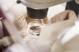 New US website makes clinical trials easy to find