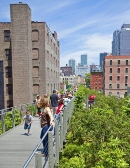 New York’s High Line fetes fifth birthday