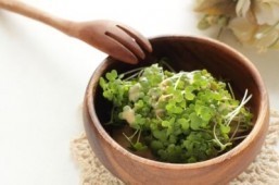 Broccoli sprout extract could help prevent cancer