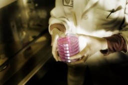 Cloning: Scientists make insulin-producing cells