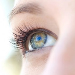 Biologists lift lid on eyelash mystery