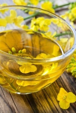Cook with vegetable fats for a healthy heart: study