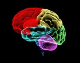 Molecule discovery may lead to improvements in treating depression