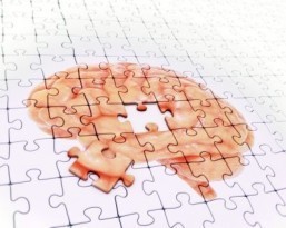 Scientists identify protein key to Alzheimer’s treatment