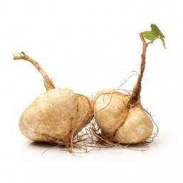 Is jicama the next superfood?