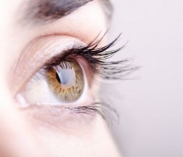 Our blind spots can be shrunk with training: study
