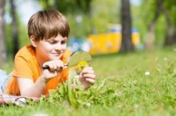 Curiosity helps us learn: study