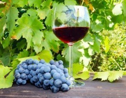 Could red wine fight cavities?