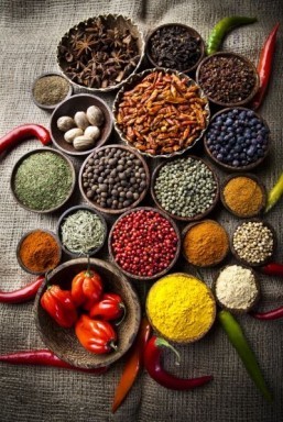 Curry spices lower hypertension in rats: Indian research