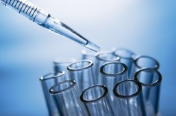 Gut bacteria link to obesity illnesses: study