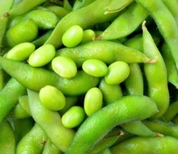 Soy supplements do not help asthma sufferers