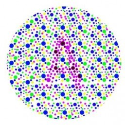 New technology helps colorblind enjoy TV