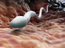 Sperm mutations point to risk for teen fathers: study