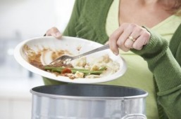 Americans urged to stop wasting food