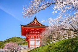Kyoto named world’s best city 2015 by Travel + Leisure magazine