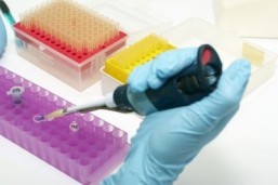 Sacramento patient isolated for Ebola testing