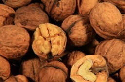 Add walnuts to your diet to improve cholesterol levels finds new study
