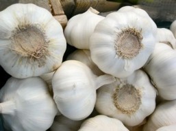 Brazil fights flatulence, with garlic