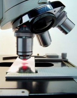 US researchers develop new tool in HIV vaccine fight