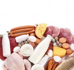A new study points to animal protein as a positive aid in preventing cognitive decline. ©Valentyn Volkov/shutterstock.com