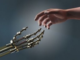eyeSight technology could bring gesture control to any device with a camera