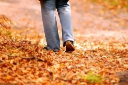 The secret to being satisfied with your life: study