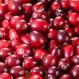 A new study suggests that the antioxidant power of cranberries may extend life. ©Cogipix /shutterstock.com
