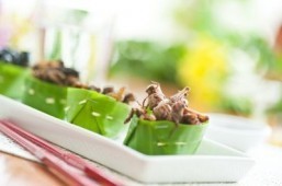 British wine experts create wine and insect pairing guide