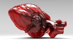 New online tool calculates heart’s ‘age’