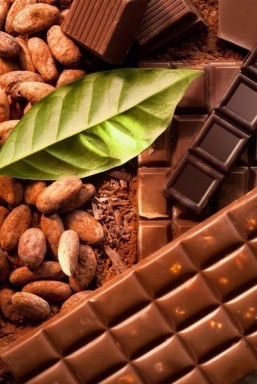 How to taste chocolate like an expert