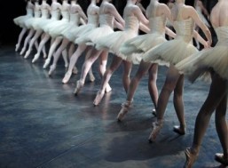 Getting in the groove: study offers rare insight on physical interaction