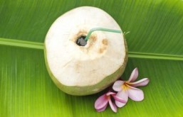 Winemaker creates premium coconut wine