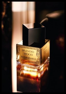YSL fragrance inspired by precious Middle Eastern essences