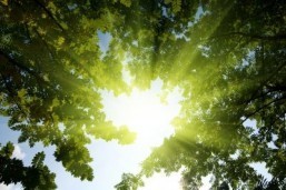 Sunlight helps blood pressure risk: study
