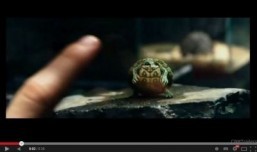 Teenage Mutant Ninja Turtles’ grow up in new teaser