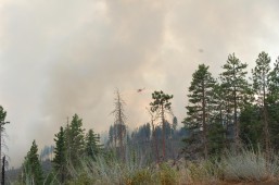 Evacuations of 1,000 people after forest fires near Yosemite
